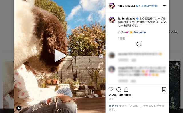工藤静香「チュは？　んー」大型犬とのキス動画にドン引き……木村拓哉＆Koki,キス写真に便乗か